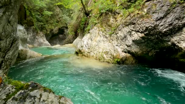 Kanyon Yeşil Ile Alp Manzarası — Stok video
