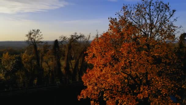Drohne Aus Der Luft Herbstlandschaft Bei Sonnenuntergang — Stockvideo