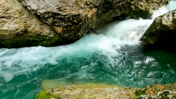 Paisagem Nas Dolomitas Com Rio Água Verde — Vídeo de Stock