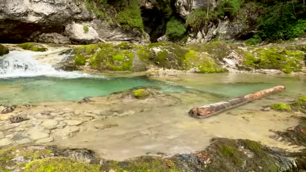 Krajobraz Alpejski Krystalicznie Czystą Wodą — Wideo stockowe