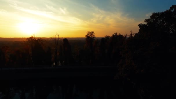 Peisaj Vară Apus Soare Pădure — Videoclip de stoc