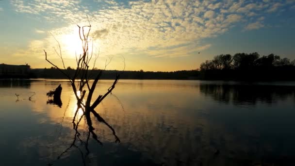 Spektakularny Krajobraz Zachodu Słońca Nad Rzeką — Wideo stockowe