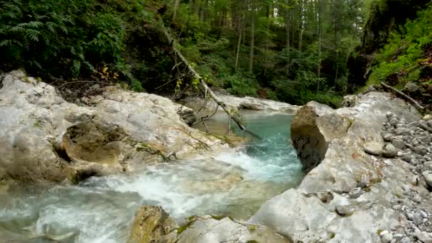 Krajobraz Dolomitów Strumieniem Turkusową Wodą — Wideo stockowe