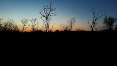 Ormanda Günbatımında Sonbahar Manzarası