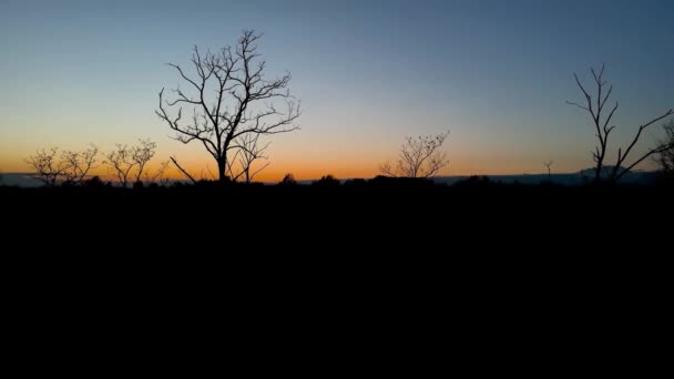 空中ドローン 森の中の夕日でリラックスした風景 — ストック動画