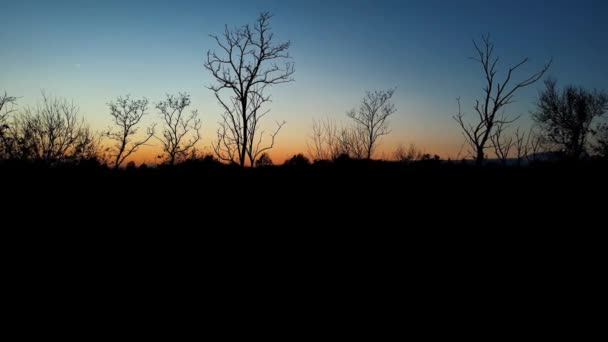 Podzimní Krajina Při Západu Slunce Lese — Stock video