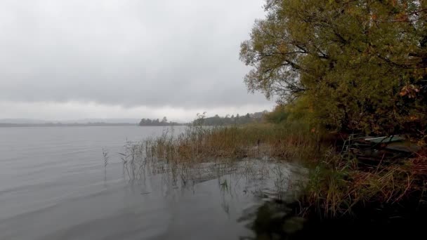 Höstlandskap Vid Sjön Med Dimma — Stockvideo