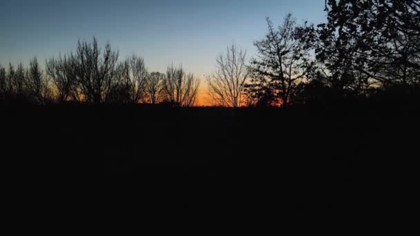 Drohne Aus Der Luft Panorama Bei Sonnenuntergang Wald — Stockvideo