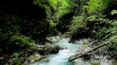  Hava Aracı - Kanyon ve Mavi Su ile Dolomitlerin Nehrinde Yaz Panoraması