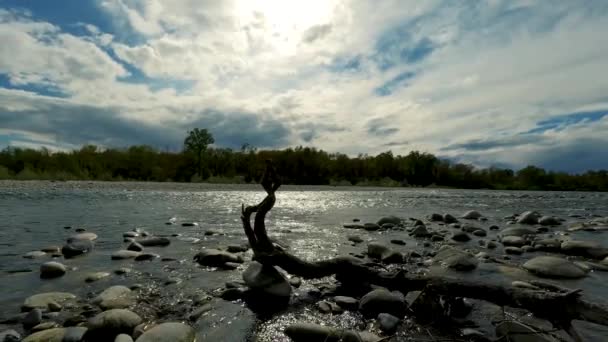 带云彩的大河夏季景观 — 图库视频影像