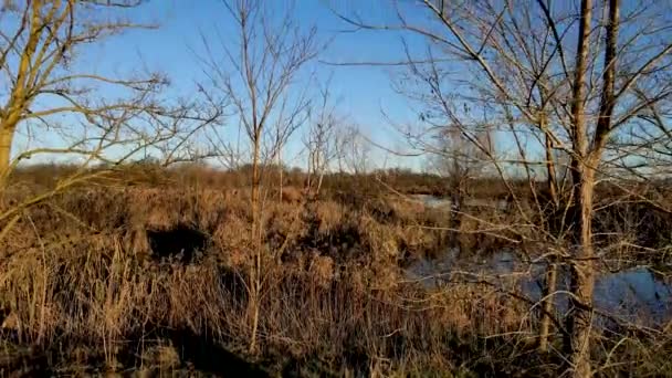 Drone Aéreo Paisaje Encantado Lago Swan — Vídeo de stock