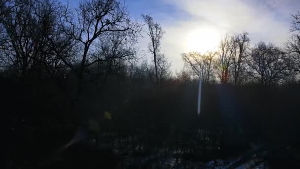 空中ドローン 森の中の夜明けの風景 — ストック動画