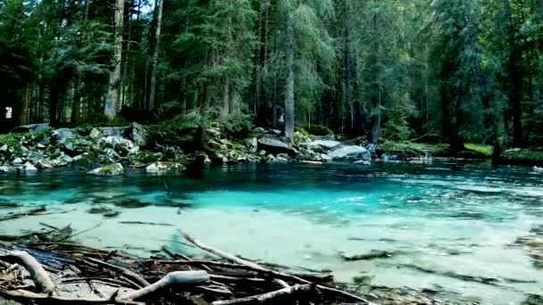 Θερινό Τοπίο Στη Λίμνη Turquoise Amola — Αρχείο Βίντεο