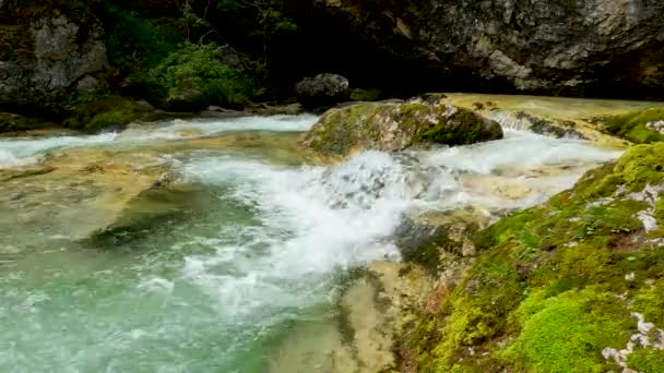 Alpejski Krajobraz Strumienia Dolomitach — Wideo stockowe