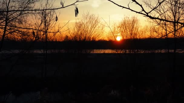 Сонячне Проміння Над Річкою — стокове відео