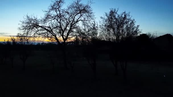 Drone Aéreo Paisagem Inverno Pôr Sol Floresta — Vídeo de Stock