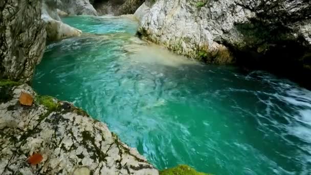 Paesaggio Alpino Nelle Dolomiti Con Fiume Acqua Verde — Video Stock