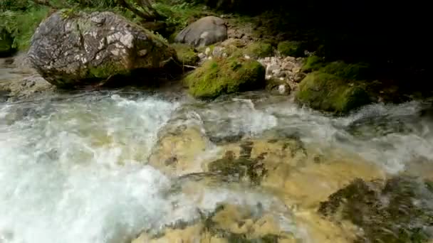 Alpine Landscape Stream Dolomites — стоковое видео