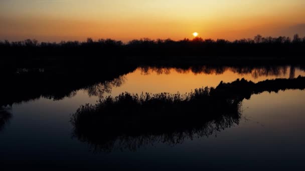 空中ドローン 白鳥の湖の夕日でリラックスした風景 Mp4 — ストック動画