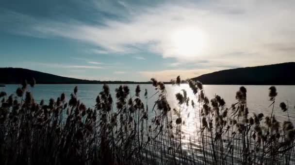 Aerial Drone Landscape Sunset Lake Comabbio — стоковое видео