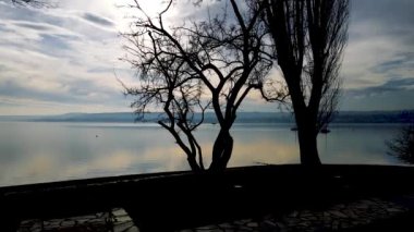 Hava Aracı - Göldeki Kış Manzarası