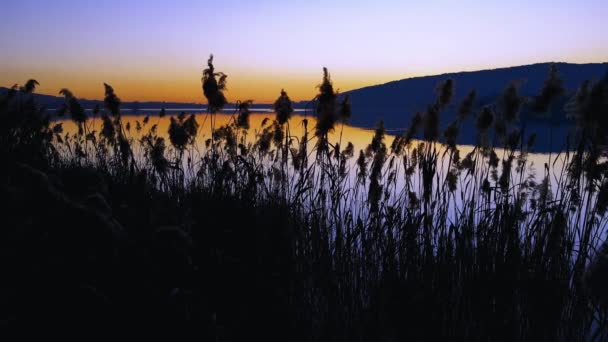 空中ドローン コルジェノ湖の夕暮れ時の冬の風景 — ストック動画