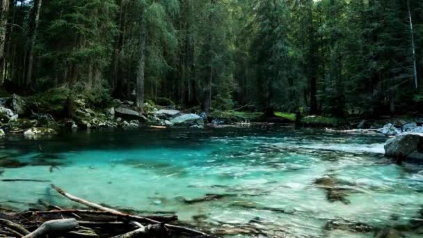 ドロマイトにターコイズブルーの水が広がる湖のアルパイン風景 — ストック動画