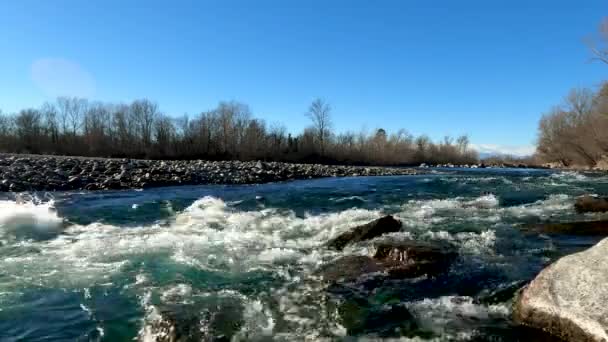 Paisagem Inverno Córrego — Vídeo de Stock