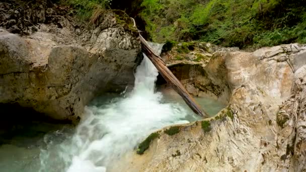 Relaksujący Krajobraz Potoku Alpejskim — Wideo stockowe