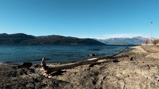 Zimní Krajina Pláži Lake Maggiore — Stock video