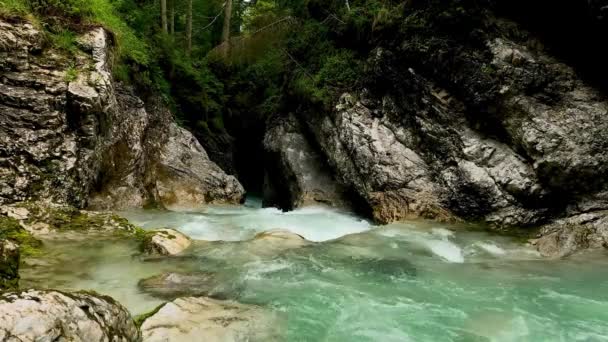 Paysage Dans Les Alpes Avec Ruisseau Canyon — Video
