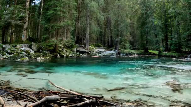 Krajobraz Alpach Jeziorem Turkusową Wodą — Wideo stockowe
