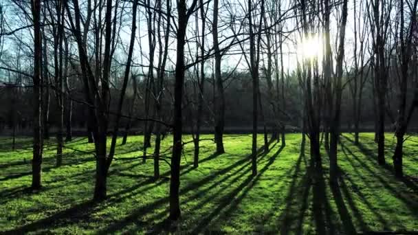 Dron Powietrzny Krajobraz Zimowy Zieloną Łąką Zachodzie Słońca — Wideo stockowe