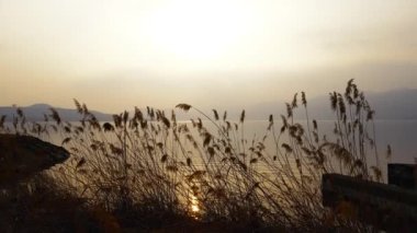 Hava Aracı - Gölde Günbatımında Rahatlama ve Meditasyon