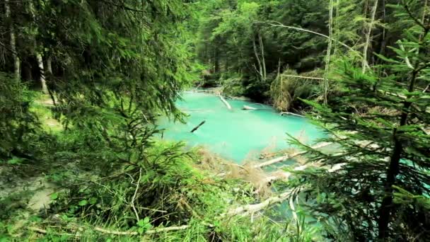 Paisaje Verano Las Dolomitas — Vídeo de stock