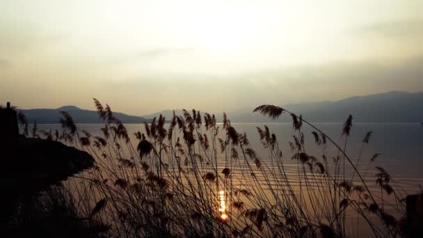 Hava Aracı Maggiore Gölü Üzerindeki Sunset Manzarası — Stok video