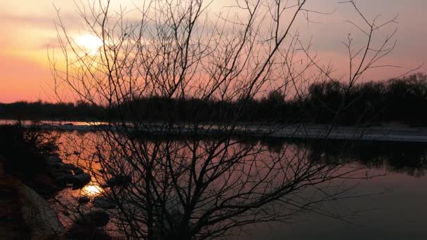 Εντυπωσιακό Κόκκινο Ηλιοβασίλεμα Στον Ποταμό — Αρχείο Βίντεο