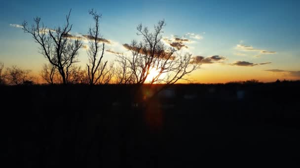 Повітряний Дрон Ландшафт Заході Сонця Лісі — стокове відео