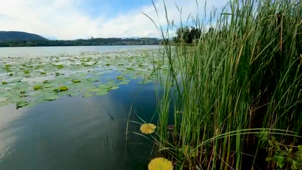 Wiosenny Krajobraz Nad Jeziorem Corgeno — Wideo stockowe