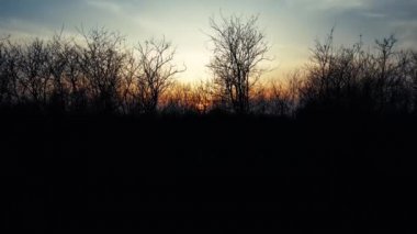  Hava Aracı - Ormandaki Günbatımında Manzara