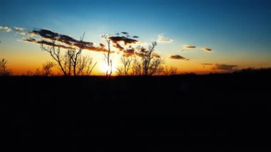 Hava Aracı - Ormandaki Günbatımında Manzara