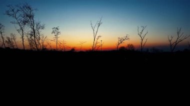 Hava Aracı - Ormanda Günbatımında Bahar Manzarası