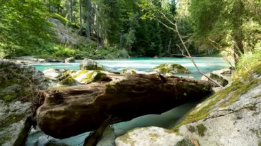 Dolomitlerdeki bir Torrent 'in Alp Manzarası - 5K