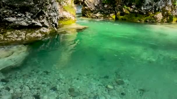 Alpenlandschap Met Beekje Groen Water — Stockvideo