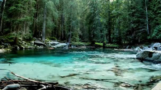 湖とターコイズブルーの水と壮大なアルプスの風景 — ストック動画