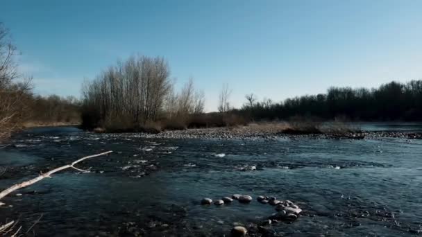 Воздушный Беспилотник Зимний Пейзаж Национальном Парке — стоковое видео