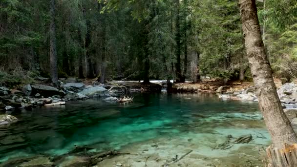 Alpine Landscape Lake Turchese Amola — ストック動画