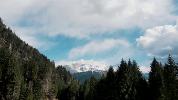 Aerial Drone Spring Landscape Dolomites — ストック動画