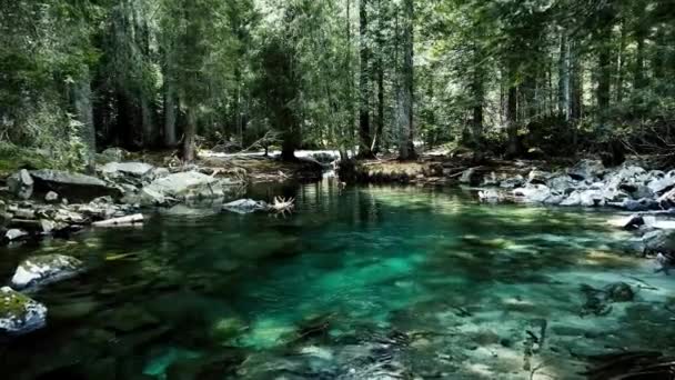 空中ドローン ターコイズブルーの水で湖のアルパイン風景 — ストック動画