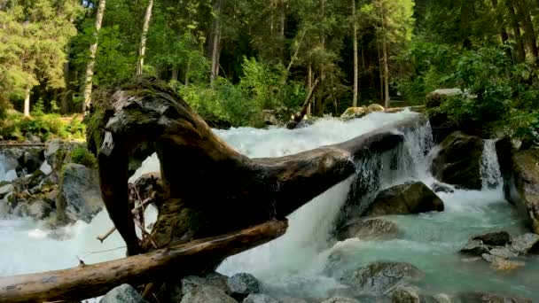 Paisaje Alpino Arroyo Los Dolomitas — Vídeo de stock